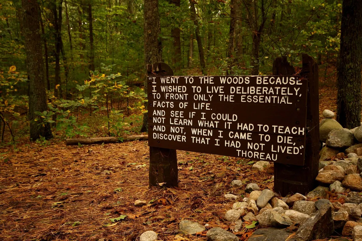Lawn Gnome Publishing archive photograph